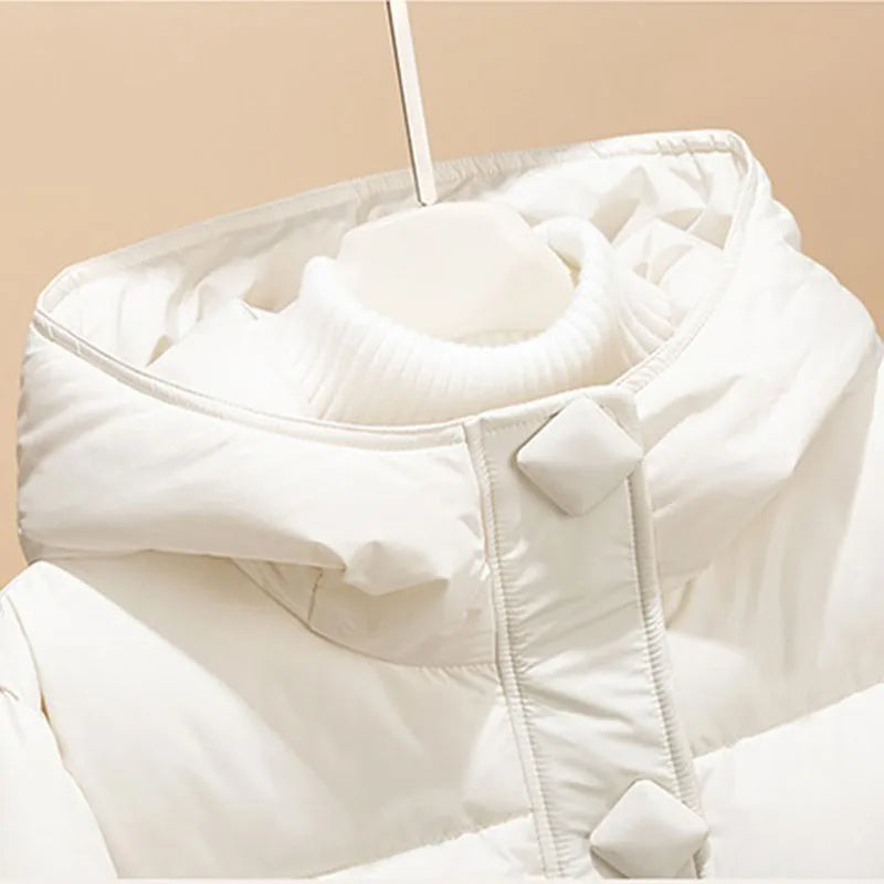 Arctic Breeze Hooded Jacket