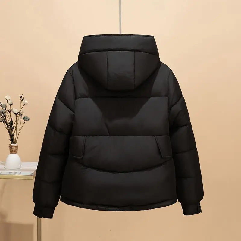 Arctic Breeze Hooded Jacket