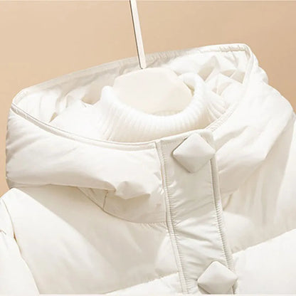 Arctic Breeze Hooded Jacket