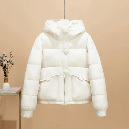Arctic Breeze Hooded Jacket
