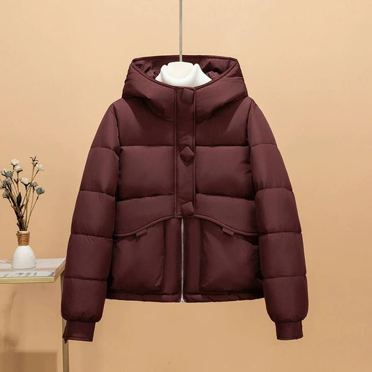 Arctic Breeze Hooded Jacket